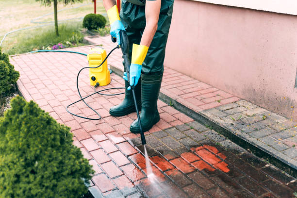 Best Roof Pressure Washing  in Plymouth, CA