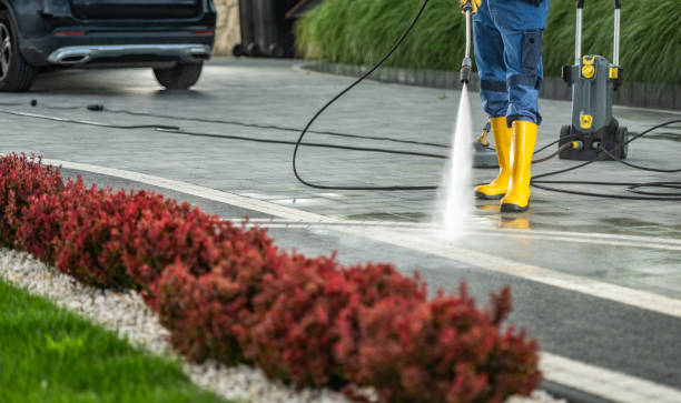 Best Affordable Power Washing  in Plymouth, CA