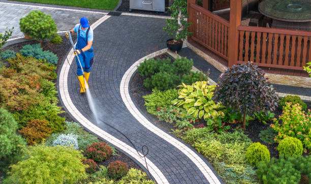 Best Power Washing Near Me  in Plymouth, CA